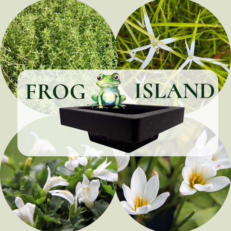 Frog-Island - Schwimminsel inklusive Pflanzen - Reiherschutz- weiß