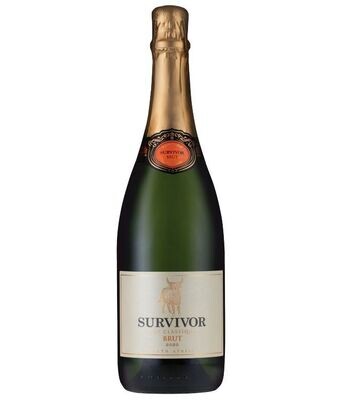 Survivor Cap Classique