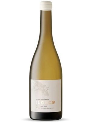 Il Geco Pinot Gris