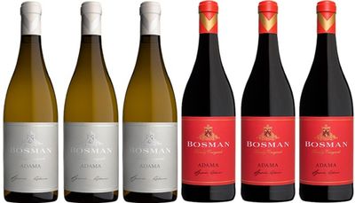 Bosman Adama Mixed Case Bosman Adama Mixed Case