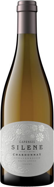 Capensis Silene Chardonnay