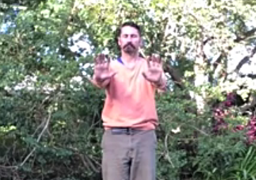 ZhiNeng QiGong Level 1 - Lift Qi Up, Pour Qi Down