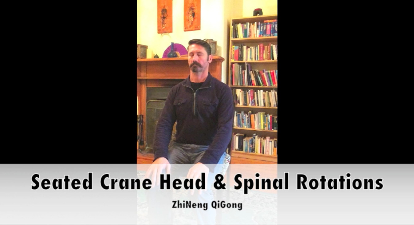 Seated Crane Head &amp; Spinal Rotations