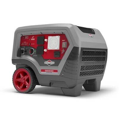 Briggs &amp; Stratton