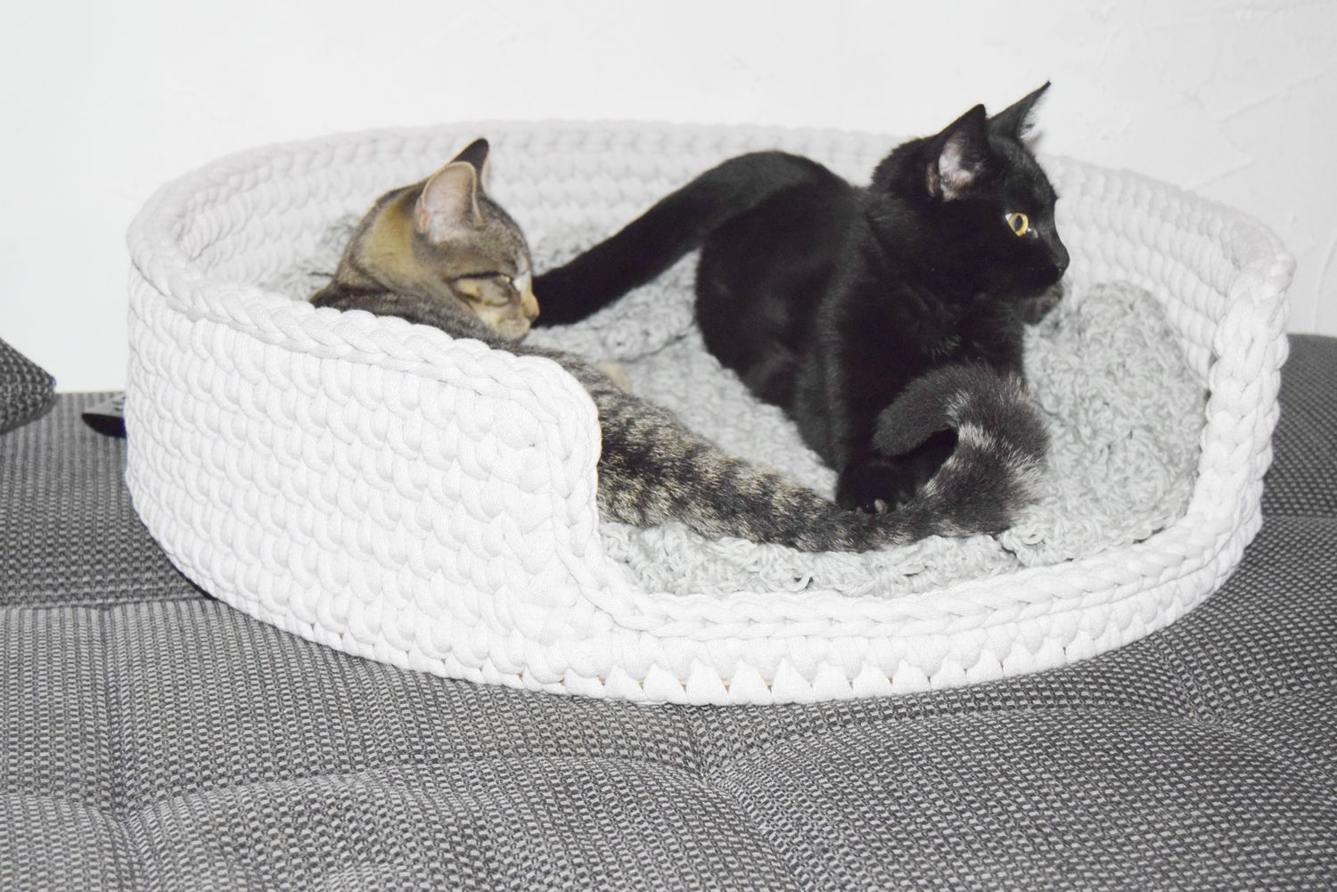 DIY-Set + LEO + Katzenkorb oder Hundekorb selberhäkeln mit Holzboden