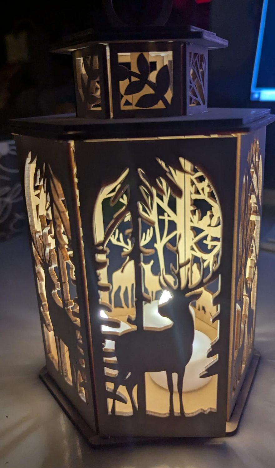 Nachtlicht/ Laterne Wald Geschenk für Waldfreunde