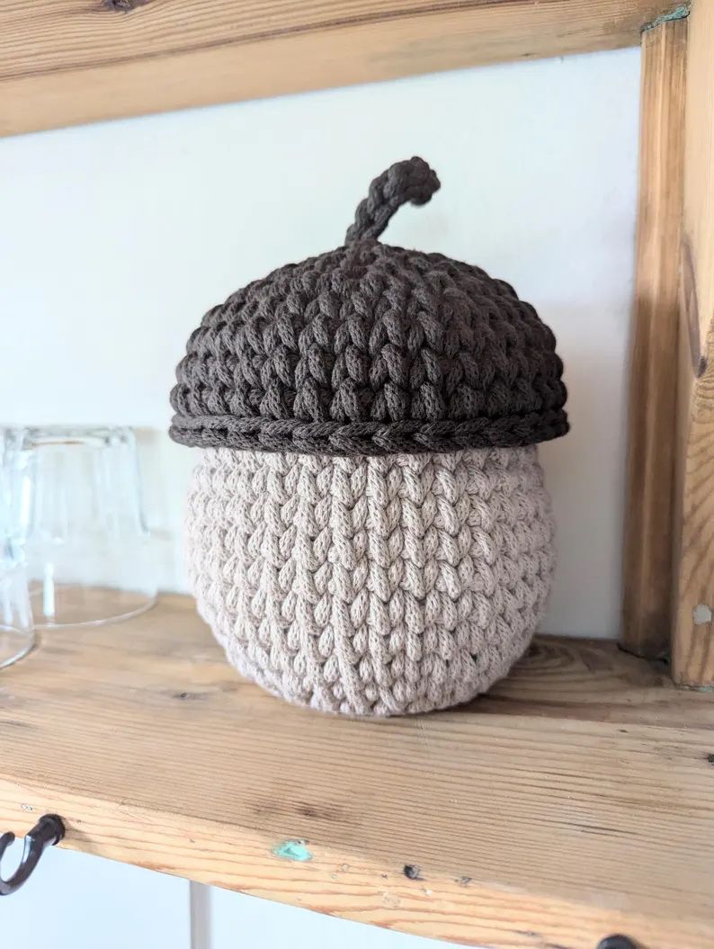 Eichel in 3 verschiedenen Größen