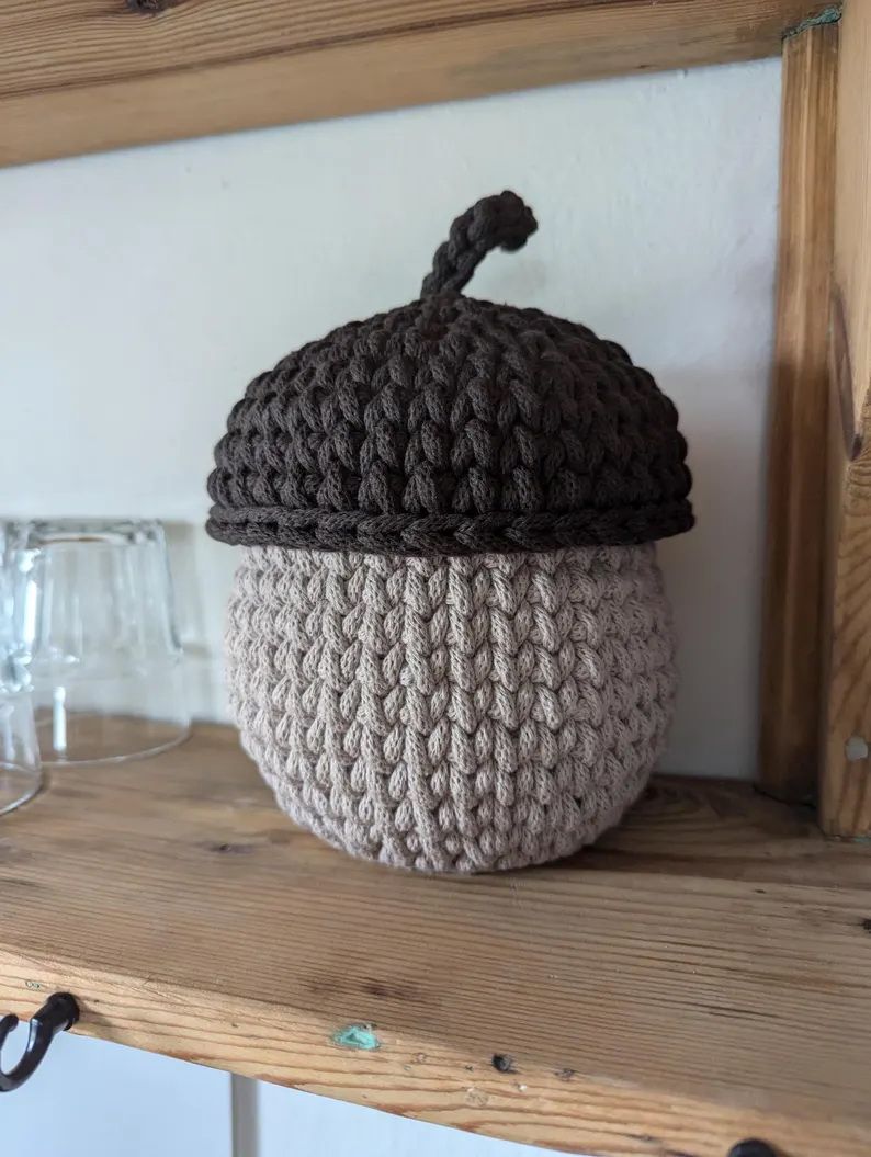 Eichel in 3 verschiedenen Größen