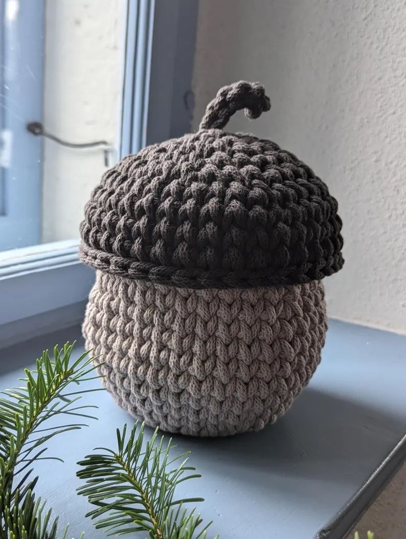 Eichel in 3 verschiedenen Größen