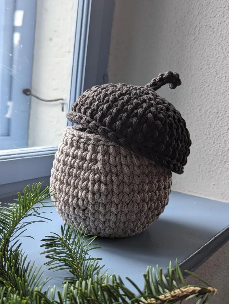 Eichel in 3 verschiedenen Größen