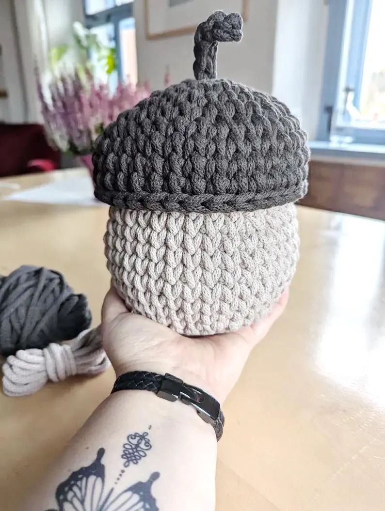 Eichel in 3 verschiedenen Größen