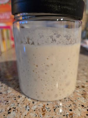 Wilma Sough Dough Starter