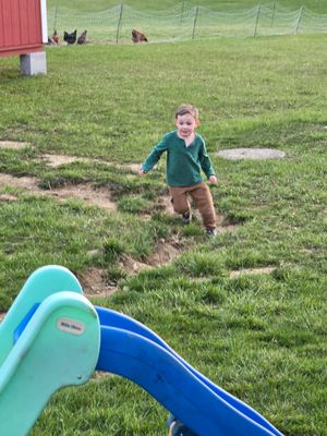 Sunshine Banana Pudding Cookie