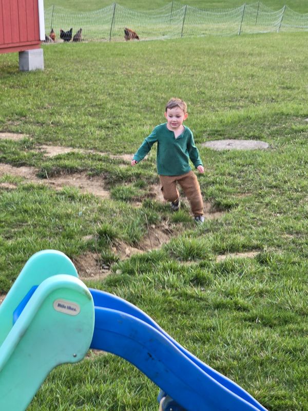 Sunshine Banana Pudding Cookie