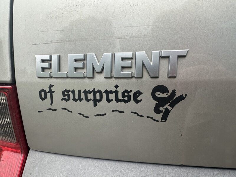 Ninja Decal - Element of Surprise