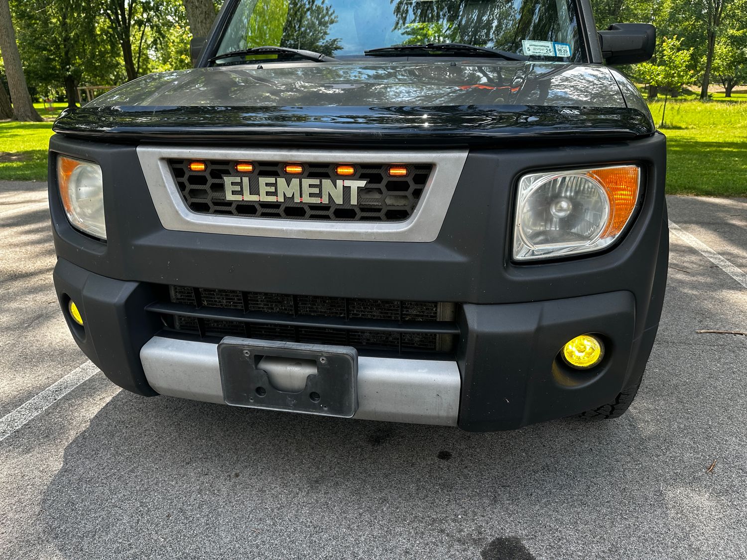 Hex-Mesh Grille Shield | Raptor Light & eLumi Badge