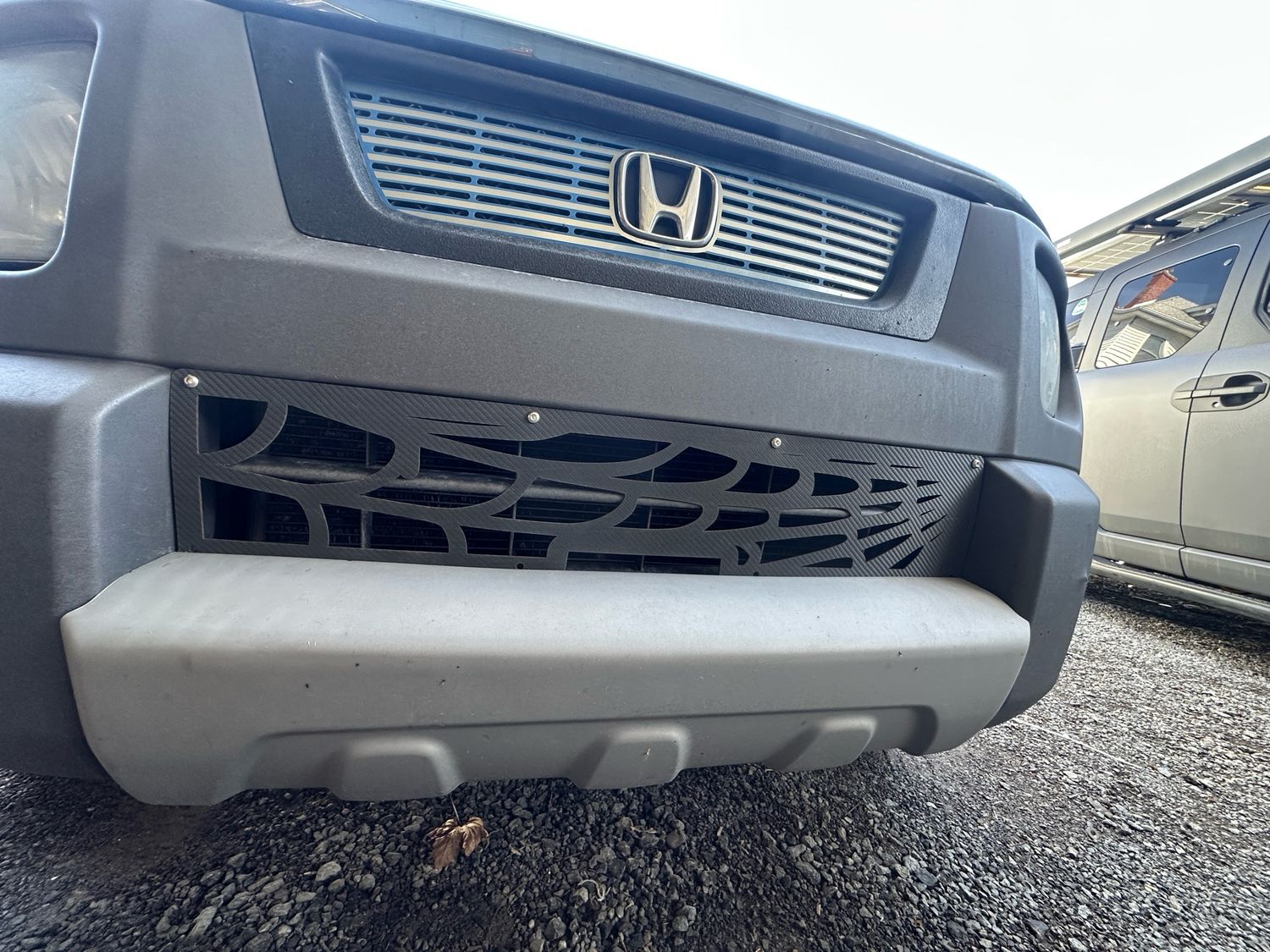 Custom Spider Web Lower Grille Shield