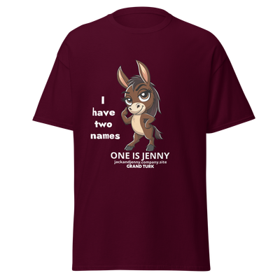 Unisex Classic Tee: JENNY/I have two names