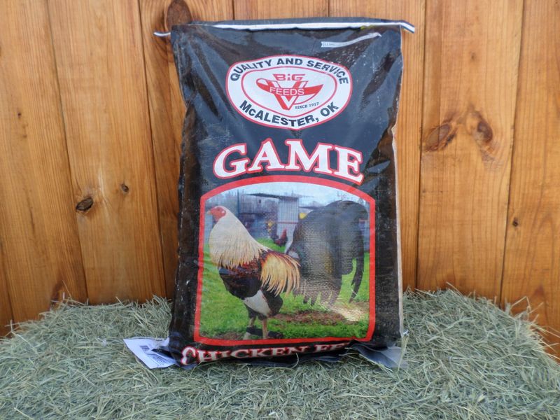 Big V Game Cock Maintenance