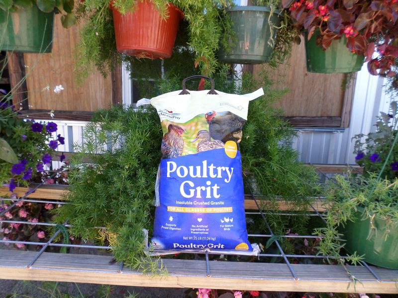 Manna Pro Poultry Grit