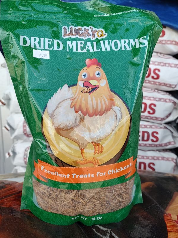 Lucky Q Dried Meal Worms