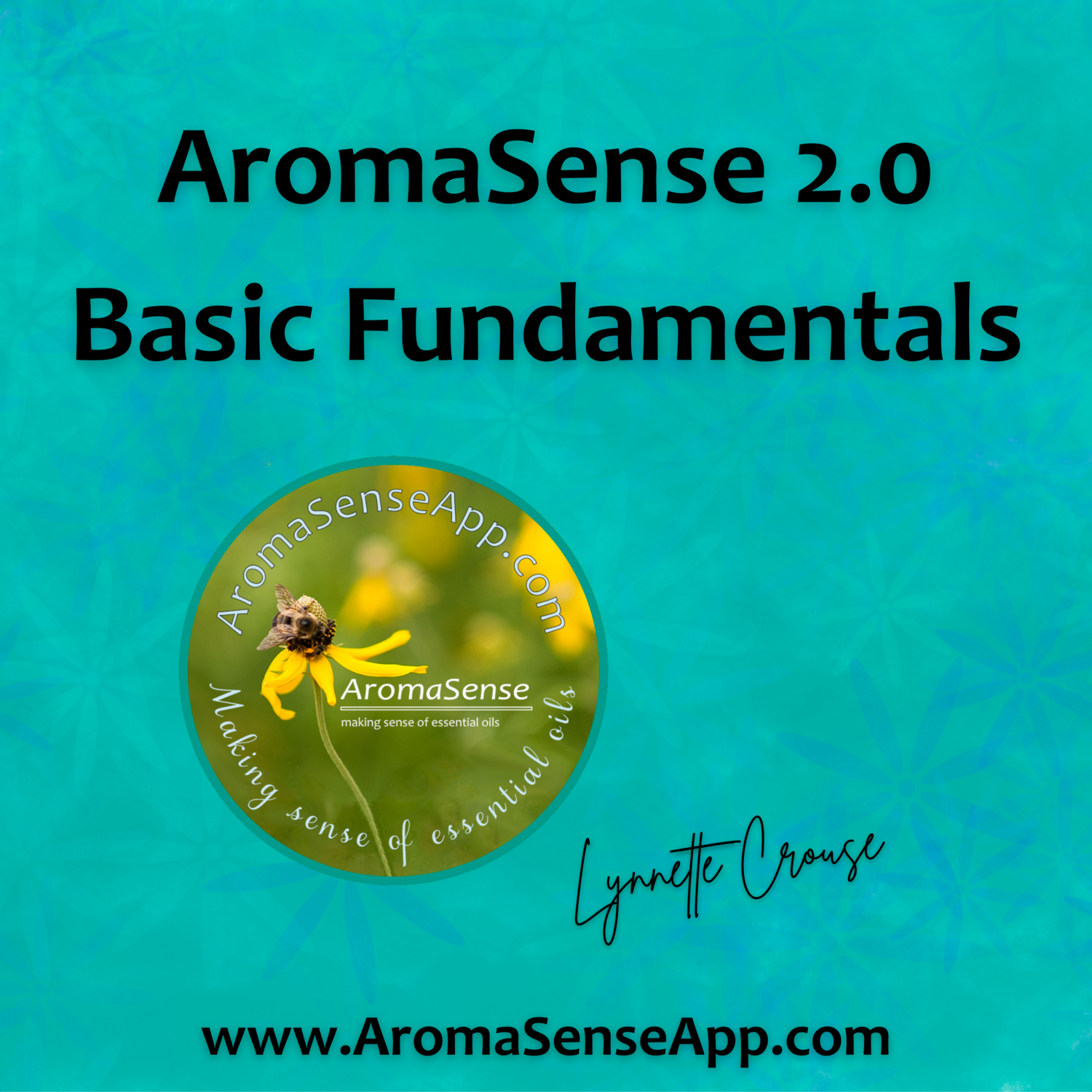 AromaSense V2 Basic Fundamentals