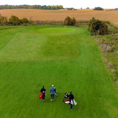 Fall Lesson Specials