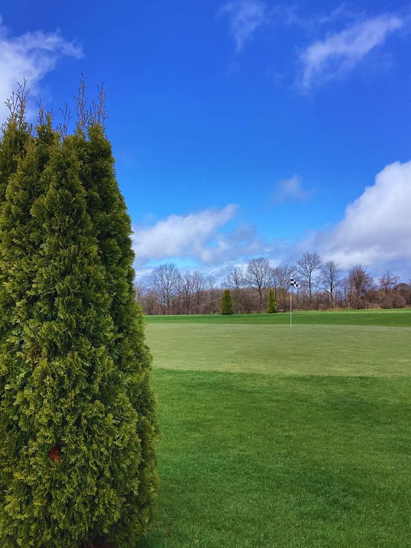 2026 Single Links Membership