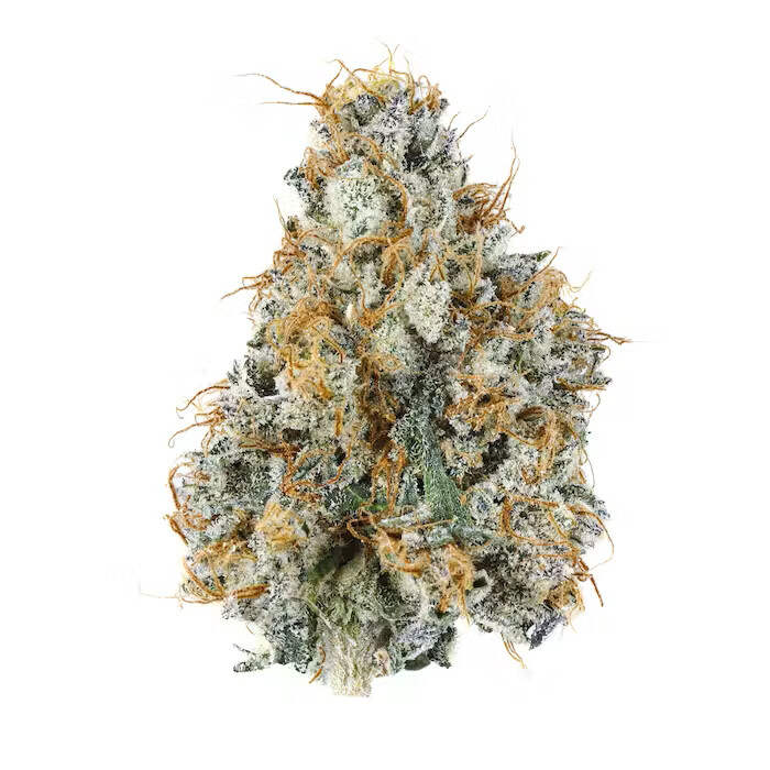 Gary Payton - High THCa Indoor Flower [Hybrid] 30.24%