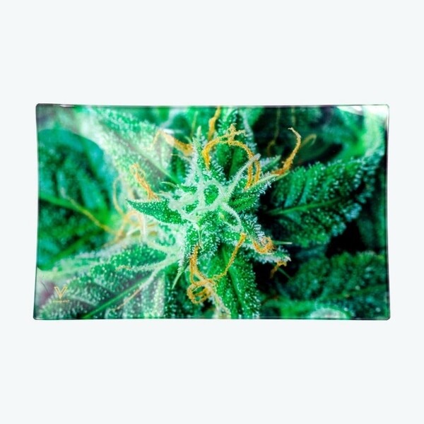 V Syndicate Shatterproof Glass Rolling Tray - Medium - AK-47