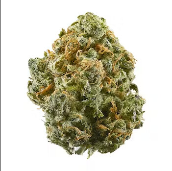 Blue Dream - High THCa Flower [Sativa Hybrid] 29.9%