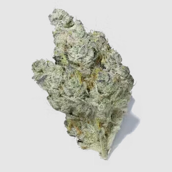 Brownie Scout - High THCa Flower, Grams: 1 gram