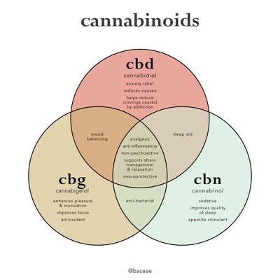 CBD & Friends: Which Cannabinoid Is Right For You?