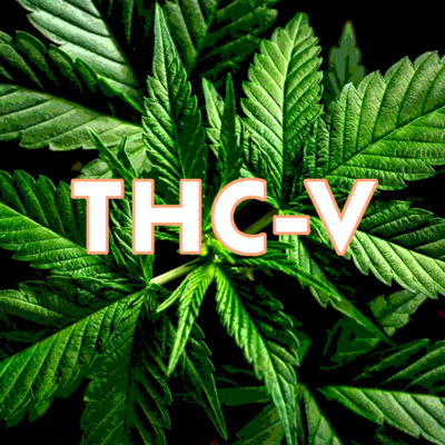 Understanding THC-V: The Anti-Cannabinoid