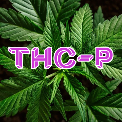 What is THC-P?