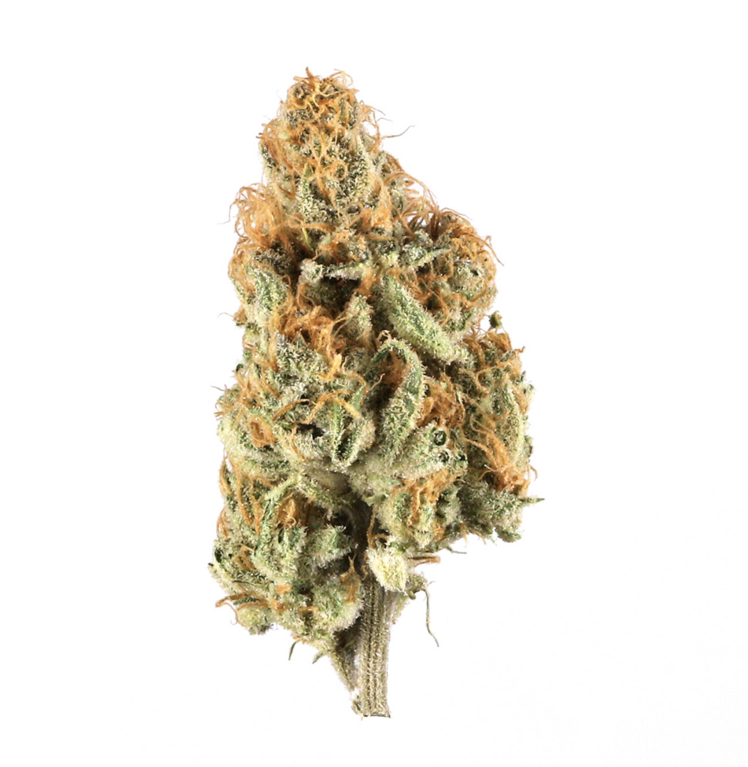 Hawaiian Runtz - High THCa Flower [Sativa Hybrid] 29.25%