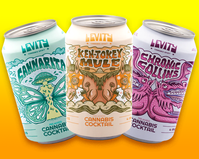 Elevate Your Mocktail Game with Levity Cannabis Spirit: The Ultimate Guide to Delta 9 THC Beverages