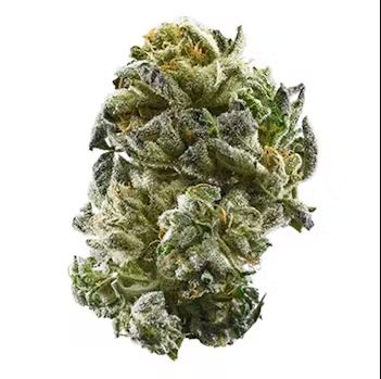 Ice Cream Cake x GSC - High THCa Flower [Hybrid] 28.32%