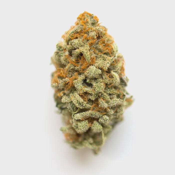 Orange Crush - High THCa Flower [Sativa Hybrid] 27.73%