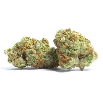 Orange &amp; Cream - High THCa Flower [Sativa] 30.02%