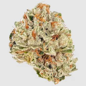 Guava Jam - High THCa Flower [Hybrid] 30.58%