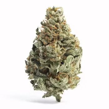Hippie Crippler - High THCa Flower [Sativa] 30.02%