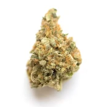 Space Jam - High THCa Flower [Sativa Hybrid] 28.54%