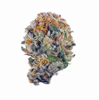 Blueberry Muffin - High THCa Flower [Hybrid] 31.25%