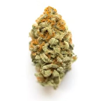Meat Breath - High THCa Flower [Indica] 31.57%