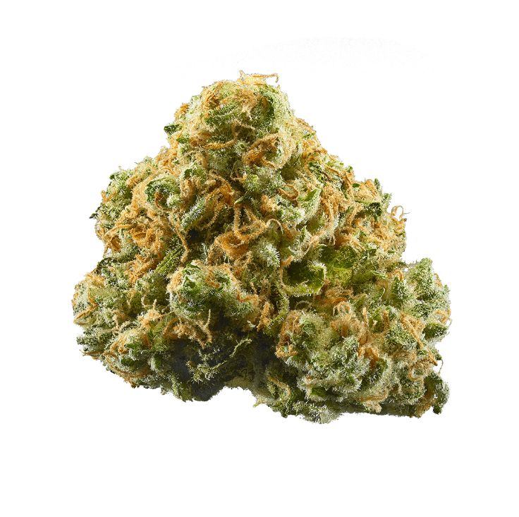 Sour D x GDP - High THCa Flower [Hybrid] 30.9%