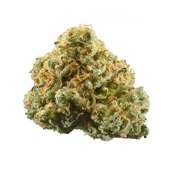 Black Ice - High THCa Flower [Indica Hybrid] 28.5%, Grams: 1 Grams