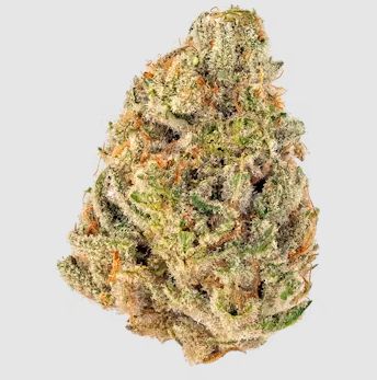Tropical Tang - High THCa Flower [Sativa Hybrid] 24.17%