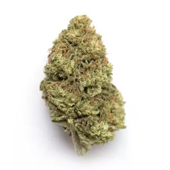 El Patron - High THCa Flower [Sativa Hybrid] 30.2%