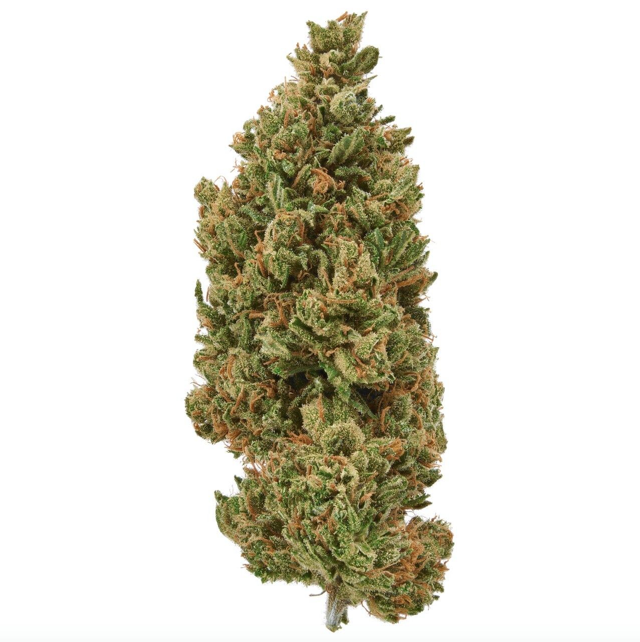 Sour Lifter - CBD Flower [Sativa] 20% | 7 Grams
